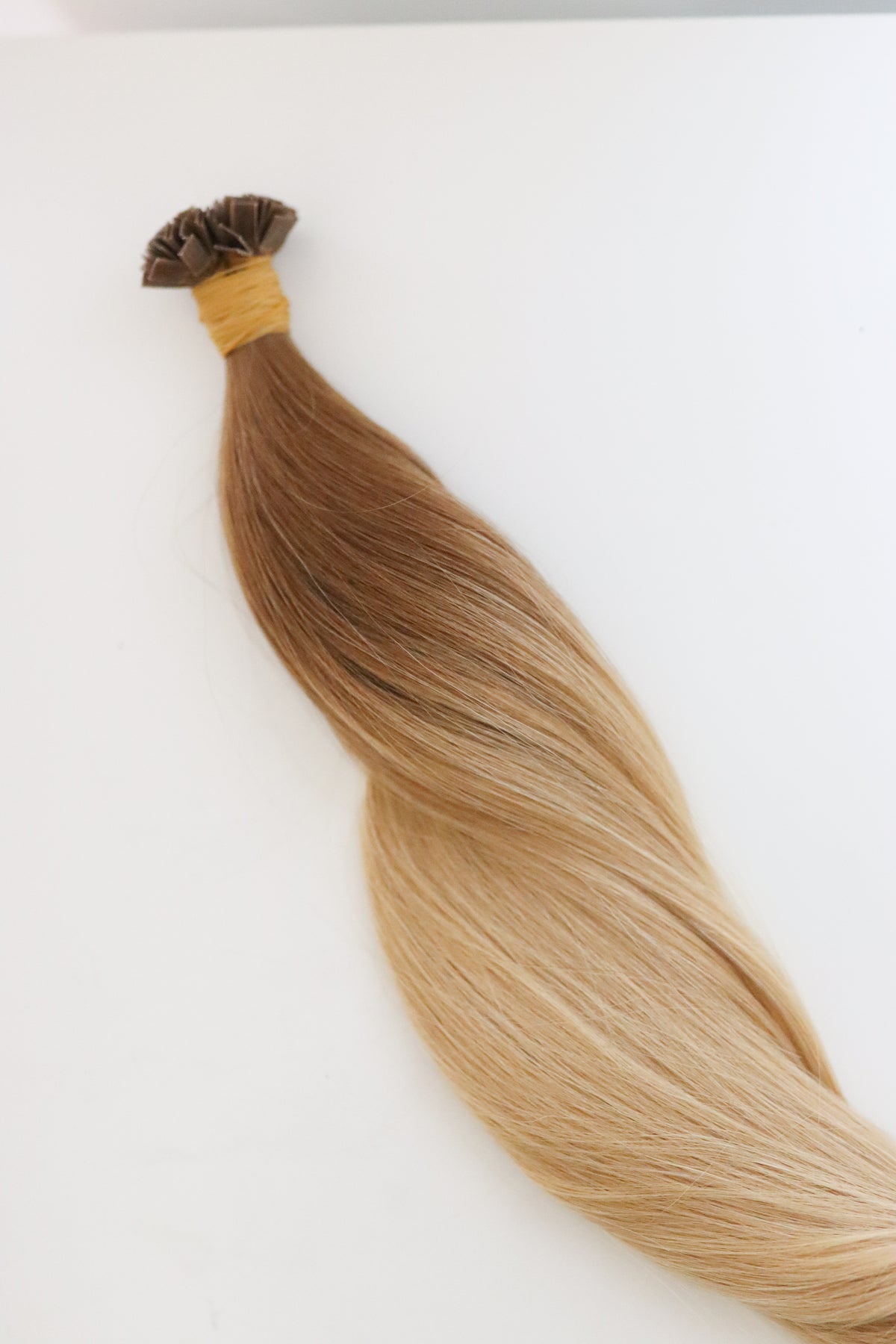 Elle Ombré #8.3/24
