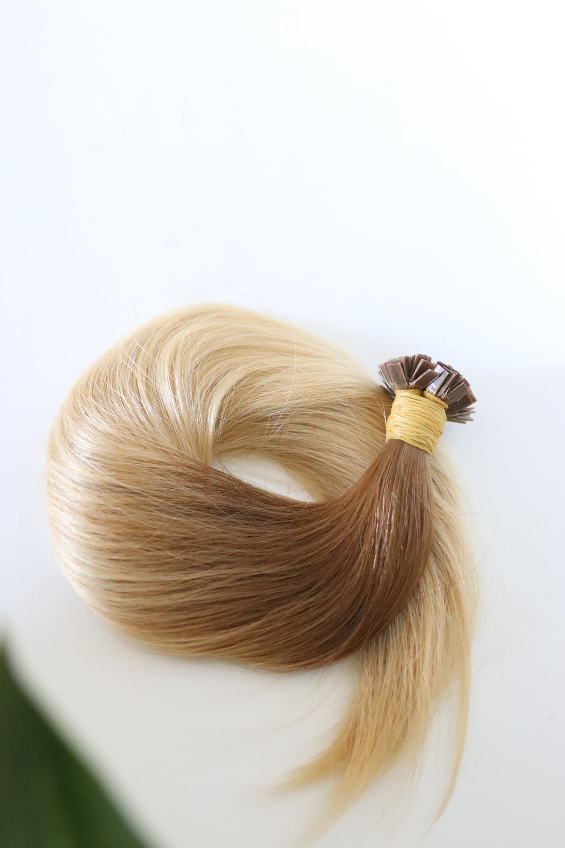 Elle Ombré #8.3/24